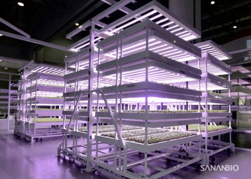 育苗植物工厂亮相2020厦洽会 中科三安推动中国育苗产业升级